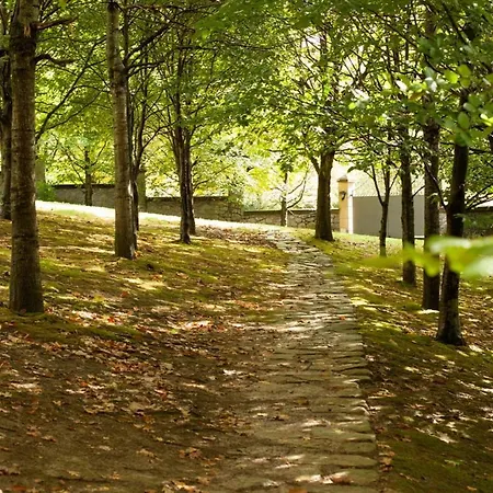 Family In With Mountain View *