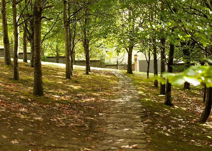 Family In With Mountain View *